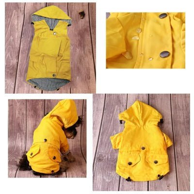 Imperméable matelot pour chien™4 coté - Chien en balade