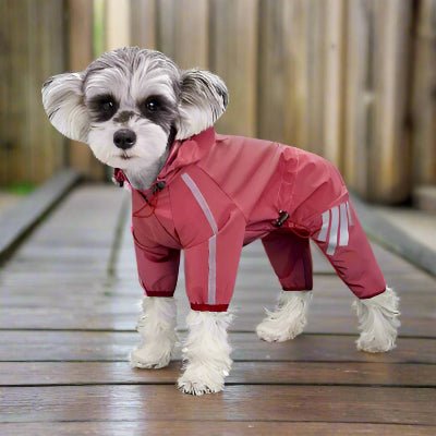 Imperméable petit chien Morkie| Splash™ - Chien en balade