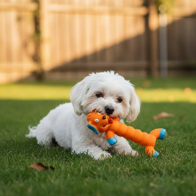 Jouet chien | Ultra - résistant en latex - Chien en balade
