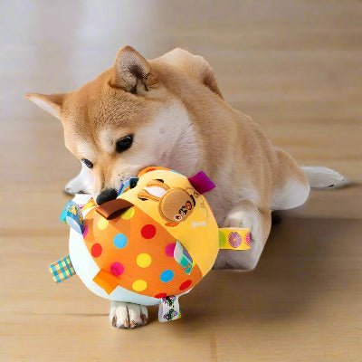 jouet pour chien   indestructible calme | Chien en balade