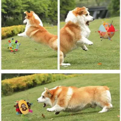 jouet pour chien  indestructible sonore Stimulant Chien en balade