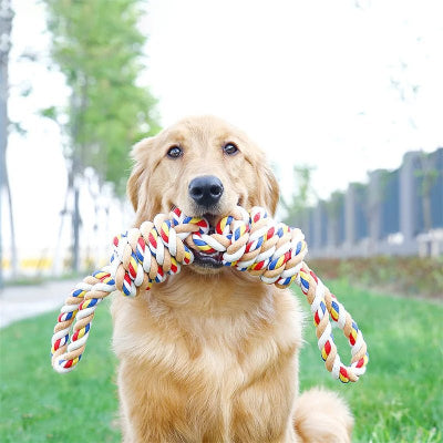 Jouet pour chien indestructible| Double noeud™ - Chien en balade