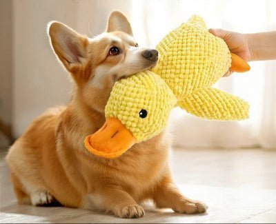 Jouet pour chien |Peluche  Kouak™ - anti stress