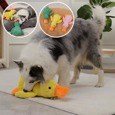 jouet pour chien | Peluche Kouak™ - apaisant