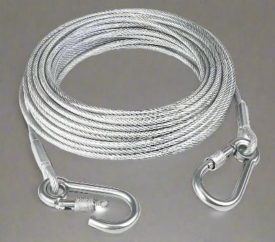 laisse chien | d'arrimage TiedDog™ Solidité tranquilité d'esprit - Chien en balade