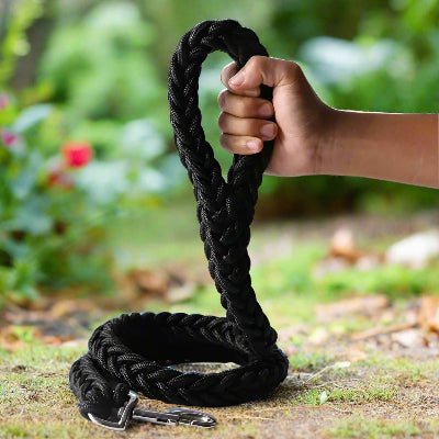  laisse chien| pour grand chien Robusto  - Chien en balade