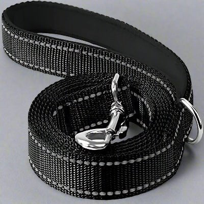 Laisse chien| Réfléchissante Reflect™ - Chien en balade