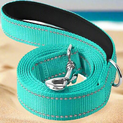 Laisse chien| Réfléchissante Reflect™ - Chien en balade