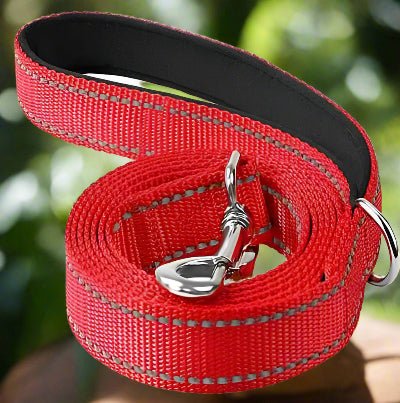 Laisse chien| Réfléchissante Reflect™ - Chien en balade