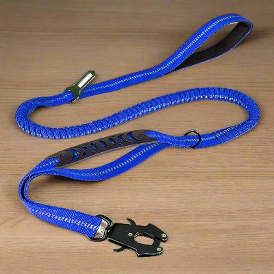 Laisse de chien  DulBunduextrêmes™  bleu