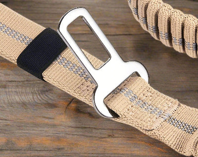 Laisse de chien DulBunduextrêmes™  boucle attache 