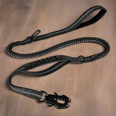 Laisse  de chien DulBunduextrêmes™  noir