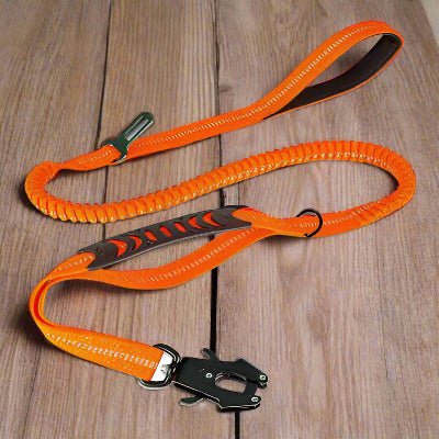 Laisse de chien DulBunduextrêmes™ orange