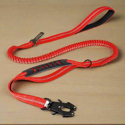 Laisse de chien DulBunduextrêmes™  rouge