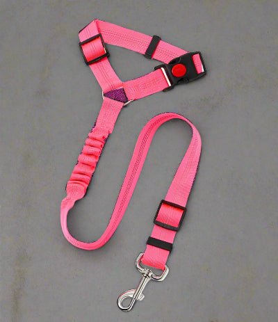 Laisse pour chien| Pro - Teck™ Rose