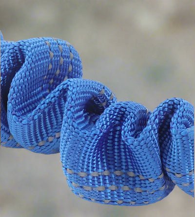 Laisse de chien| Pro - Teck™ anti choc