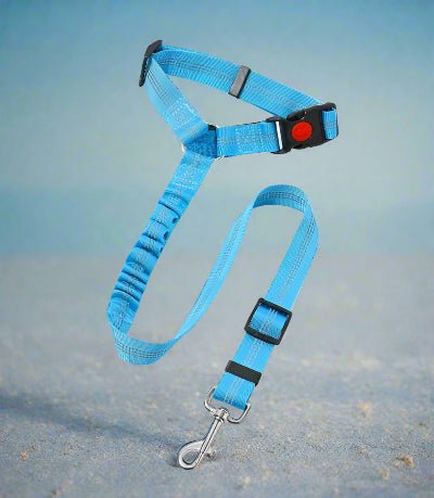 Laisse pour chien| Pro - Teck™ bleu claire