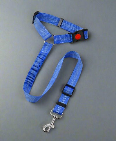 Laisse de chien| Pro - Teck™ bleu foncé