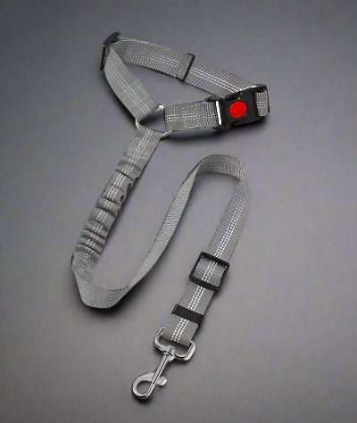 Laisse de chien| Pro - Teck™ gris