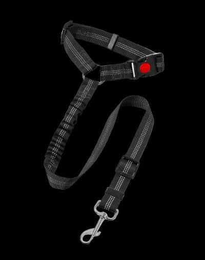 Laisse de chien| Pro - Teck™ Sécuritaire absorbant les chocs noir