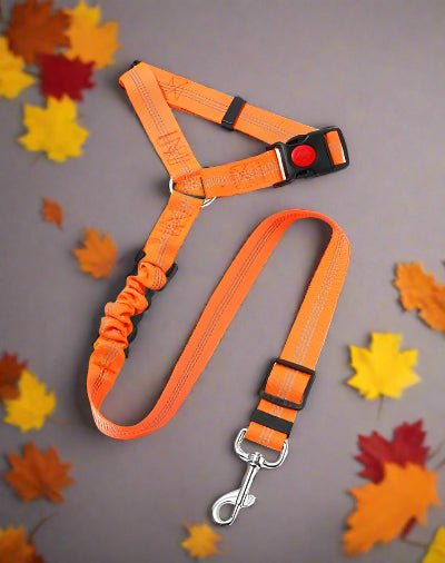 Laisse de chien| Pro - Teck™ orange