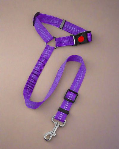 Laisse de chien| Pro - Teck™ violet