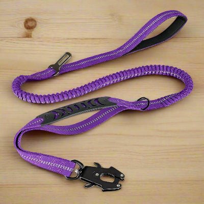 Laisse DulBunduextrêmes™ pour chien - violet-Chien en balade