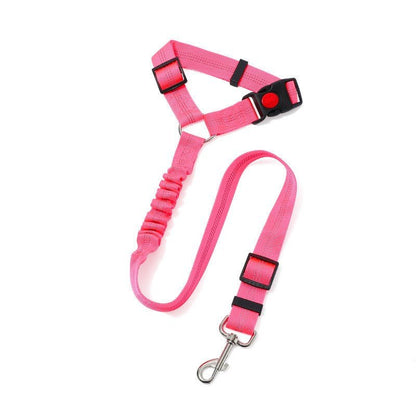 Laisse pour chien| Pro - Teck™ - Chien en balade