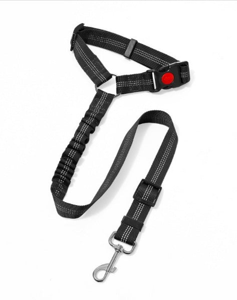 Laisse pour chien| Pro - Teck™ - Chien en balade