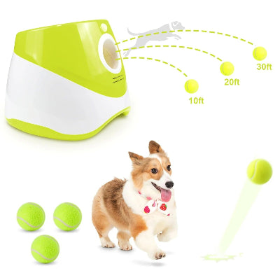 Lanceur balle pour chien Distance lancement |Chien en balade
