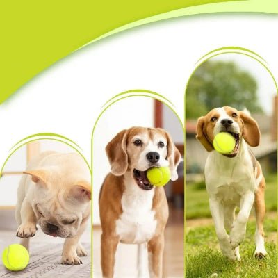 Lanceur de balle pour chien| 9M™ Captivant Stimulant - Chien en balade