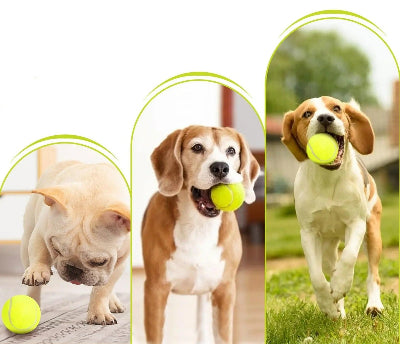 Lanceur de balle pour chien™ - Chien en balade