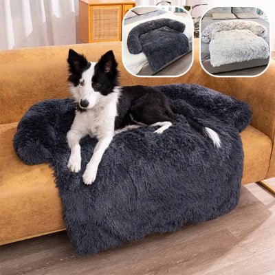 Lit pour chien softDog chien sur canapé- Chien en balade