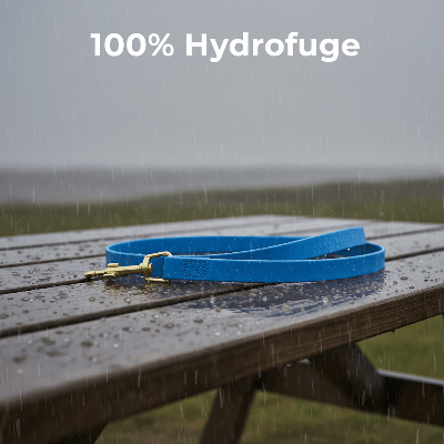 Longe chien | Lasso™ Robuste Sécurité - Chien en balade