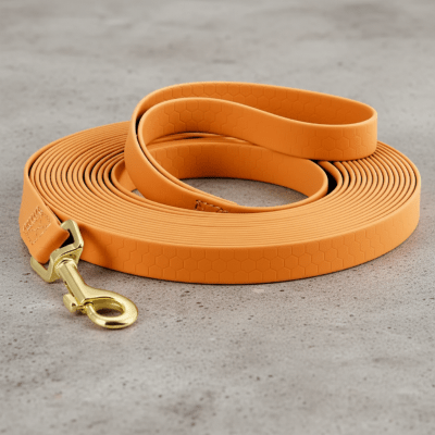 Longe chien | Robuste Sécurité - Chien en balade