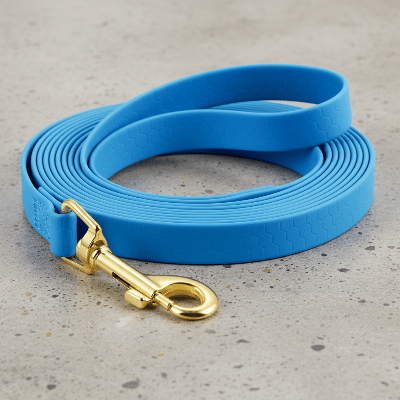 Longe chien | Robuste Sécurité - Chien en balade