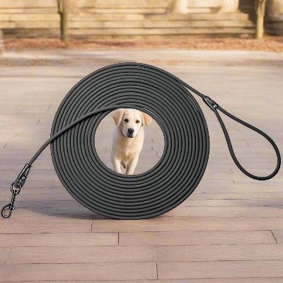Longe pour chien RappelTech™ - Chien en balade