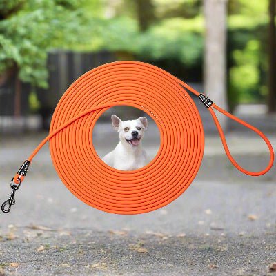 Longe pour chien RappelTech™ - Chien en balade