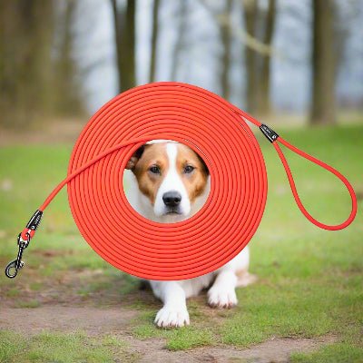 Longe pour chien RappelTech™ - Chien en balade