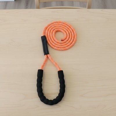 Longes chien | Ajustable Liberté Sécurisée - Chien en balade