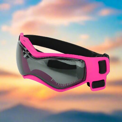 Lunette soleil pour chiens Luvu rose| Chien en balade