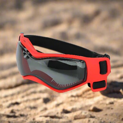 Lunette soleil pour chiens Luvu rouge | Chien en balade