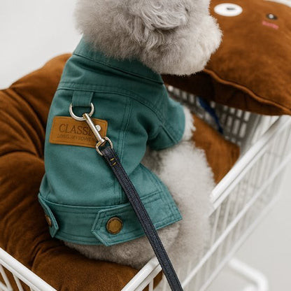 Manteau chien | Bloo Jeans - Chien en balade