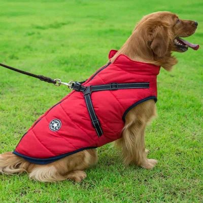 Manteau Chien | Harnais intégré Confortable - Chien en balade