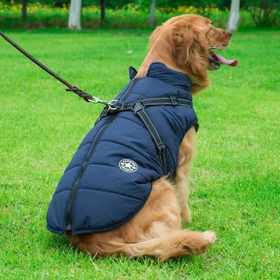 Manteau Chien | Harnais intégré Confortable - Chien en balade