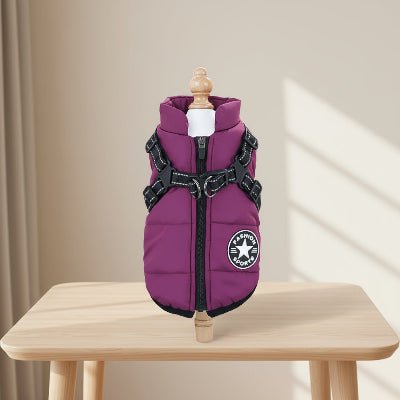 Manteau Chien | Harnais intégré Confortable - Chien en balade