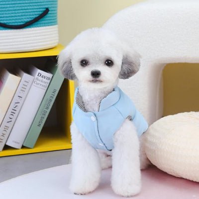 Manteau chien | Imperméable KythieMod™ Confort - Chien en balade