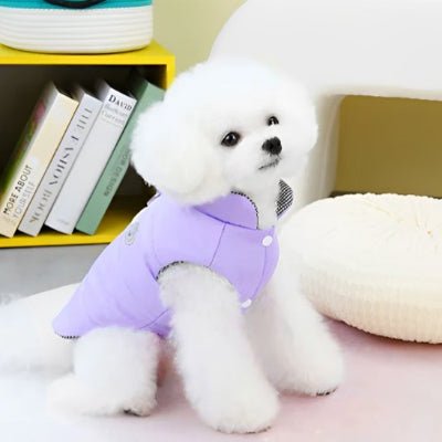 Manteau chien | Imperméable KythieMod™ Confort - Chien en balade