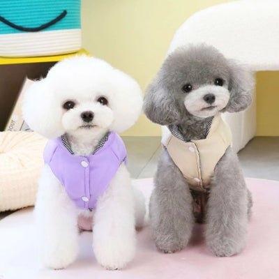 Manteau chien | Imperméable KythieMod™ Confort - Chien en balade