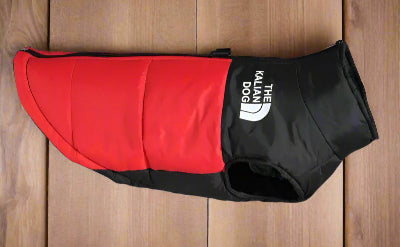 Manteau imperméable-chien -rouge-Chien en balade